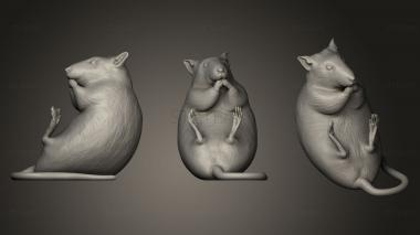 3D model Rat (STL)